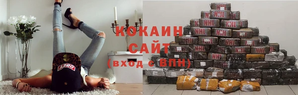 трава Богородицк