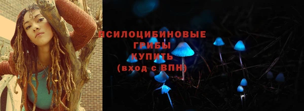 трава Богородицк