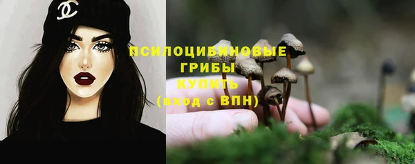 синтетический гашиш Богородск