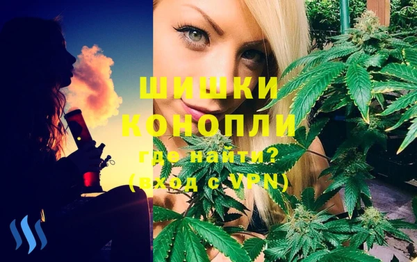 трава Богородицк