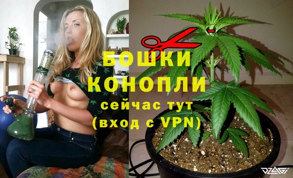 apvp Богданович