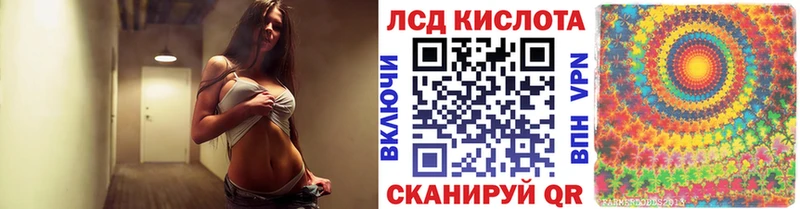 купить наркотики цена  Кировград  Наркотические марки 1,8мг 