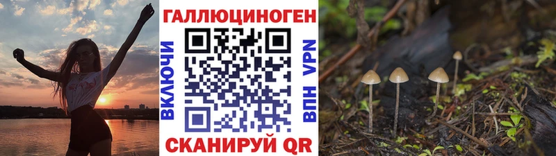 Псилоцибиновые грибы Psilocybine cubensis  МЕГА   Кировград 